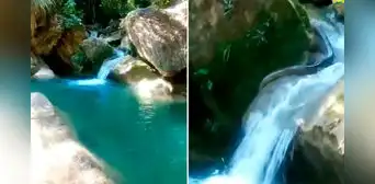 Turista intenta ingresar al río en Tingo María, pero queda en shock al encontrar una enorme serpiente tomando el sol Turista intenta ingresar al río en Tingo María, pero queda en shock al encontrar una enorme serpiente tomando el sol