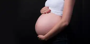 El virus que podría tener graves consecuencias para las mujeres embarazadas: se reportaron varios casos en América Latina El virus que podría tener graves consecuencias para las mujeres embarazadas: se reportaron varios casos en América Latina