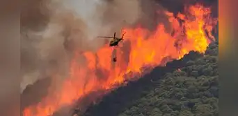 Las impactantes imágenes del peor incendio forestal que sufre España en su historia: hay al menos 3 muertos Las impactantes imágenes del peor incendio forestal que sufre España en su historia: hay al menos 3 muertos