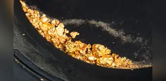 Geólogos canadienses descubren un yacimiento de oro de alto grado en una selva inexplorada de Sudamérica Geólogos canadienses descubren un yacimiento de oro de alto grado en una selva inexplorada de Sudamérica
