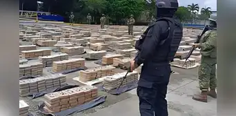 PNP incauta 50 kilos de hoja de coca en operativo en Antauta, Puno