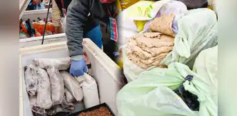 Un comerciante es detenido en Argentina por vender más de 20 kilos de milanesa y chorizo hechos de papel higiénico Un comerciante es detenido en Argentina por vender más de 20 kilos de milanesa y chorizo hechos de papel higiénico
