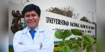 Científico peruano de San Marcos revela que la muña combate la bacteria responsable de la gastritis: "En 15 días" Científico peruano de San Marcos revela que la muña combate la bacteria responsable de la gastritis: "En 15 días"