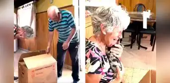 Abuelitos conmueven a redes tras recibir un perrito idéntico al que acababan de perder: "Él no se fue, renació" Abuelitos conmueven a redes tras recibir un perrito idéntico al que acababan de perder: "Él no se fue, renació"