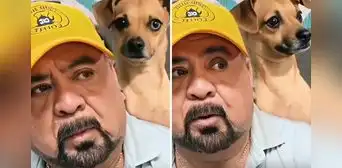 Hombre se hace viral por elegir a su perro antes que a su pareja pese a un ultimátum: "Es un familiar mío" Hombre se hace viral por elegir a su perro antes que a su pareja pese a un ultimátum: "Es un familiar mío"