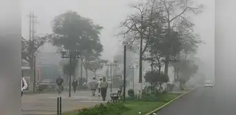 Senamhi reporta la madrugada más fría del año en Lima con 11 ° C: este es el distrito más afectado de la capital limeña Senamhi reporta la madrugada más fría del año en Lima con 11 ° C: este es el distrito más afectado de la capital limeña