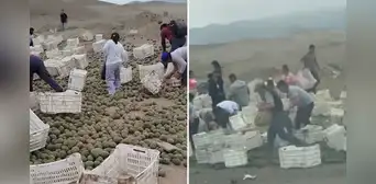 Camión con paltas sufre volcadura en Panamericana Sur y transeúntes se apropian del cargamento caído