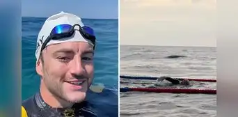 Hombre nadó 4 días y más de 102 horas sin parar por un récord, pero todo se derrumbó a 2 km de la meta