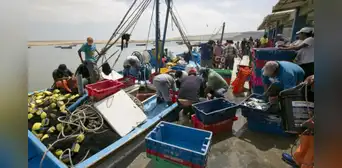 Pescadores jubilados denuncian "pensiones de hambre": más de 20.000 sobreviven con menos de S/500 Pescadores jubilados denuncian "pensiones de hambre": más de 20.000 sobreviven con menos de S/500