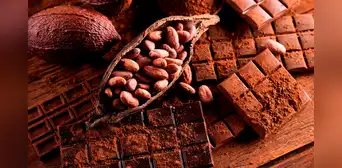 Científicos descubren que el delicioso sabor del chocolate se debe a microbios presentes en la fermentación del cacao Científicos descubren que el delicioso sabor del chocolate se debe a microbios presentes en la fermentación del cacao