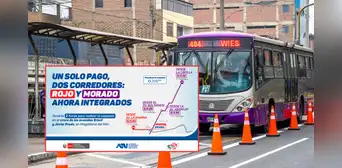 Corredores Rojo y Morado permiten transbordo por máximo S/3.50: conoce cómo acceder a la ruta desde SJL hasta San Miguel