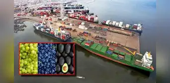 Perú superará a Chile en agroexportaciones este 2025, pero el Congreso premia con reducción de impuestos a un sector ya consolidado Perú superará a Chile en agroexportaciones este 2025, pero el Congreso premia con reducción de impuestos a un sector ya consolidado