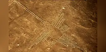 La fascinación de los nazca por representar animales no solo se aprecia en sus famosas líneas