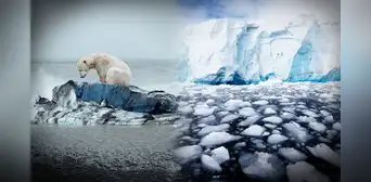 Antártida en fase crítica: cambios "abruptos" acelerados por el clima traería consecuencias catastróficas en el mundo, según investigadores