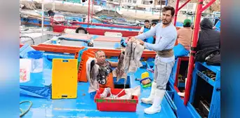 Reinician pesca de pota con cuota ampliada y nuevas reglas de control desde el 25 de agosto Reinician pesca de pota con cuota ampliada y nuevas reglas de control desde el 25 de agosto