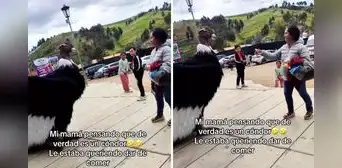 Peruana confunde disfraz de cóndor con animal real e intenta darle de comer: clip es furor en TikTok Peruana confunde disfraz de cóndor con animal real e intenta darle de comer: clip es furor en TikTok