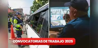 La Municipalidad de la Molina lanza convocatoria 2025: más de 50 empleos disponibles y salarios hasta los S/ 7,000 La Municipalidad de la Molina lanza convocatoria 2025: más de 50 empleos disponibles y salarios hasta los S/ 7,000