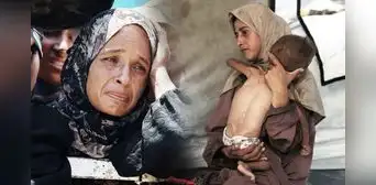 La ONU declara hambruna en Gaza: más de medio millón de personas al borde de la muerte mientras crecen amenazas de Israel La ONU declara hambruna en Gaza: más de medio millón de personas al borde de la muerte mientras crecen amenazas de Israel