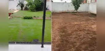 Inquilinos remodelan dúplex en Argentina, pero terminan dejando el terreno vacío porque dueño se negó a reconocer sus mejoras Inquilinos remodelan dúplex en Argentina, pero terminan dejando el terreno vacío porque dueño se negó a reconocer sus mejoras