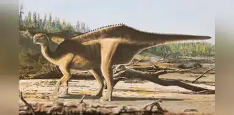 Científicos descubren una nueva especie de dinosaurio con una estructura dorsal en forma de vela en su espalda
