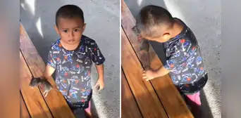 Niño se vuelve viral por jugar con rata y usuarios reaccionan: “Al fin un pequeño sin celular” Niño se vuelve viral por jugar con rata y usuarios reaccionan: “Al fin un pequeño sin celular”