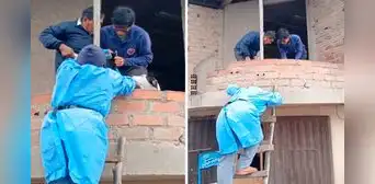 Veterinario sube por una escalera improvisada para vacunar a perro durante campaña y en redes reaccionan: “Tiene vocación de servicio” Veterinario sube por una escalera improvisada para vacunar a perro durante campaña y en redes reaccionan: “Tiene vocación de servicio”