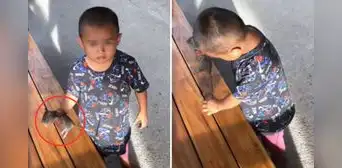 Niño se vuelve viral por jugar con rata y usuarios reaccionan: “Al fin un pequeño sin celular” Niño se vuelve viral por jugar con rata y usuarios reaccionan: “Al fin un pequeño sin celular”
