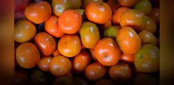 Este país de Sudamérica es el principal exportador de mandarina en la región y el séptimo en el mundo con 64 millones de dólares en lo que va del 2025