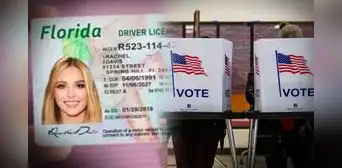 ¿Renovaste tu licencia de conducir después de julio 2024 en Florida? El trámite que debes hacer sí o si para las elecciones 2025 ¿Renovaste tu licencia de conducir después de julio 2024 en Florida? El trámite que debes hacer sí o si para las elecciones 2025