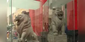 Leones del Barrio Chino ahora tienen vitrinas tras robo de colmillos y esfera de su escultura