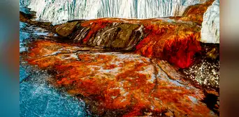 'Cataratas de sangre' en la Antártida, esta es la explicación científica tras el fenómeno en el glaciar Taylor 'Cataratas de sangre' en la Antártida, esta es la explicación científica tras el fenómeno en el glaciar Taylor