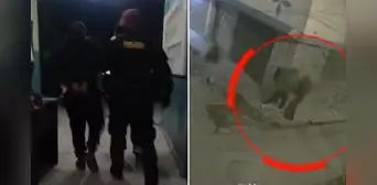Capturan a ‘robacelulares’ de 16 años en El Agustino tras asaltar a dos jóvenes: cómplice huyó durante la intervención Capturan a ‘robacelulares’ de 16 años en El Agustino tras asaltar a dos jóvenes: cómplice huyó durante la intervención