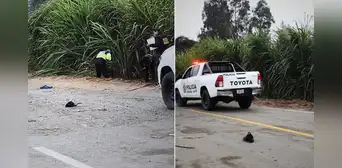 Dos hombres fueron asesinados de 8 balazos en Huacho: cuerpos se encontraron en canal de regadío Dos hombres fueron asesinados de 8 balazos en Huacho: cuerpos se encontraron en canal de regadío