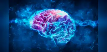Estudio revela que el cerebro puede neutralizar los recuerdos de miedo sin borrarlos y reducir el impacto emocional Estudio revela que el cerebro puede neutralizar los recuerdos de miedo sin borrarlos y reducir el impacto emocional
