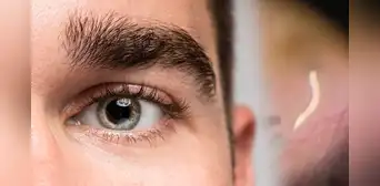 Médicos en India extraen de un ojo humano un parásito común en perros y gatos: el hombre sufría inflamación ocular