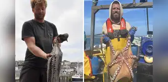 Aumento de pulpos provoca problemas a la pesca en Reino Unido: "Es una plaga" Aumento de pulpos provoca problemas a la pesca en Reino Unido: "Es una plaga"