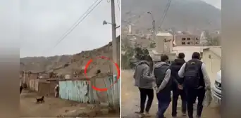 Policías trepan cerro en Manchay para capturar a extorsionadores: tenían armas, explosivos y drogas