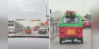 Mototaxi es captada llevando troncos en el techo y usuarios en redes bromean "Destino Final de Temu" Mototaxi es captada llevando troncos en el techo y usuarios en redes bromean "Destino Final de Temu"