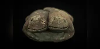 Arqueólogos descubren en Perú escultura de sapos de la civilización más antigua de América: tiene 3.800 años