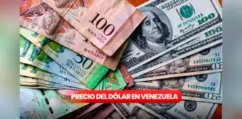 Dólar BCV y paralelo en Venezuela: consulta el valor actual para hoy, domingo 31 de agosto de 2025