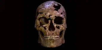 Un esqueleto descubierto en Vietnam revelaría un conflicto interpersonal que acabó mal hace 12.000 años