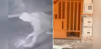 Comas: comerciante sufre ataque con explosivo contra su vivienda por parte de delincuente Comas: comerciante sufre ataque con explosivo contra su vivienda por parte de delincuente