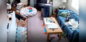 Perrito aprende a usar Alexa para escuchar música y emociona a miles de usuarios en EEUU: banda reaccionó a video viral Perrito aprende a usar Alexa para escuchar música y emociona a miles de usuarios en EEUU: banda reaccionó a video viral