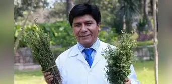 Mario Carhuapoma, científico de San Marcos: “El agua de muña ataca directamente a este microorganismo (bacteria responsable de la gastritis)" Mario Carhuapoma, científico de San Marcos: “El agua de muña ataca directamente a este microorganismo (bacteria responsable de la gastritis)"