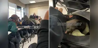 Joven oculta a su perrito dentro de su mochila mientras su profesora anuncia que habrá revisión de sus pertenencias: ''Sintió el verdadero terror''
