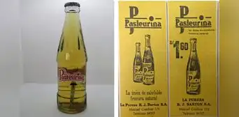 Pasteurina regresa al mercado peruano tras más de 20 años: clásica gaseosa tiene sabor característico a hierbaluisa Pasteurina regresa al mercado peruano tras más de 20 años: clásica gaseosa tiene sabor característico a hierbaluisa