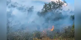 Incendio forestal cerca de Machu Picchu mantiene activa la alerta en Cusco