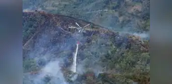 Este año se han registrado 475 incendio forestales, según el Indeci Este año se han registrado 475 incendio forestales, según el Indeci