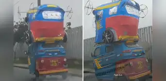 Mototaxi es captada transportando una peculiar 'vaca loca' y usuarios la bautizan como “moto loca” Mototaxi es captada transportando una peculiar 'vaca loca' y usuarios la bautizan como “moto loca”