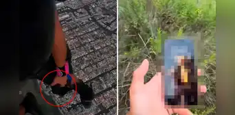 Se le cayó el teléfono mientras realizaba paracaidismo a más de 1.500 metros y se sorprendió al hallarlo intacto: "Qué suerte" Se le cayó el teléfono mientras realizaba paracaidismo a más de 1.500 metros y se sorprendió al hallarlo intacto: "Qué suerte"